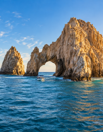 Desde Los Cabos