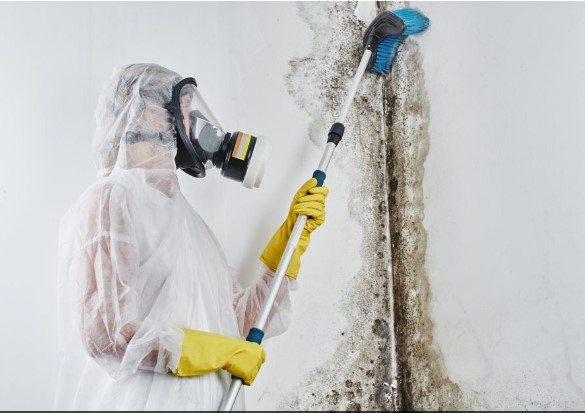 The Importance of Immediate Water Damage Restoration in Philadelphia 