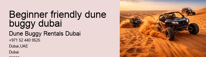 beginner friendly dune buggy dubai