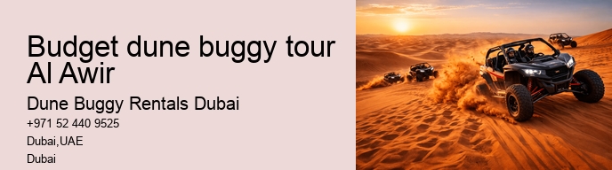 Budget dune buggy tour Al Awir