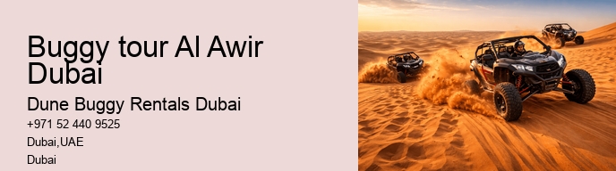 Buggy tour Al Awir Dubai