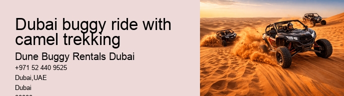 dubai buggy ride with camel trekking