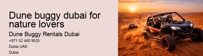 dune buggy dubai for nature lovers