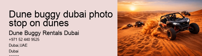 dune buggy dubai photo stop on dunes