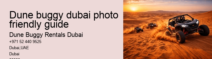 dune buggy dubai photo friendly guide