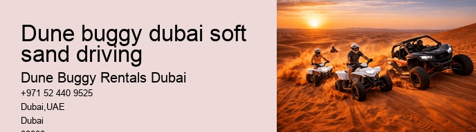 dune buggy dubai soft sand driving