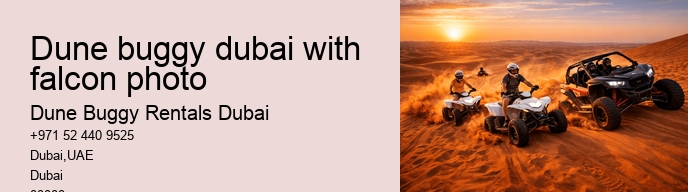 dune buggy dubai with falcon photo