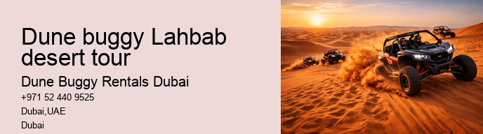 Dune buggy Lahbab desert tour