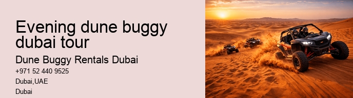 evening dune buggy dubai tour