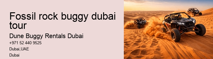 fossil rock buggy dubai tour