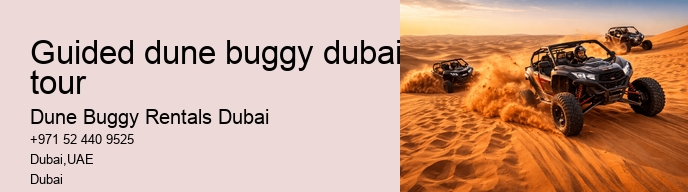 guided dune buggy dubai tour
