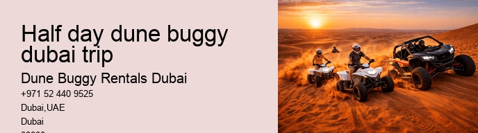 half day dune buggy dubai trip