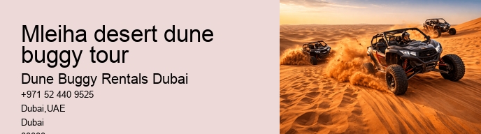 Mleiha desert dune buggy tour