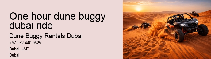 one hour dune buggy dubai ride