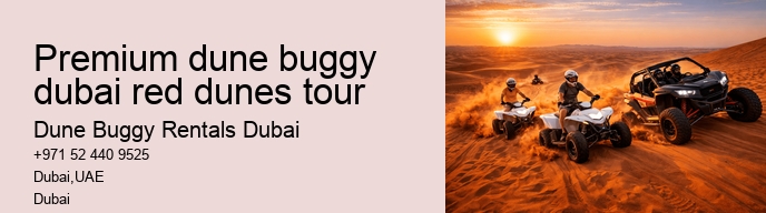premium dune buggy dubai red dunes tour