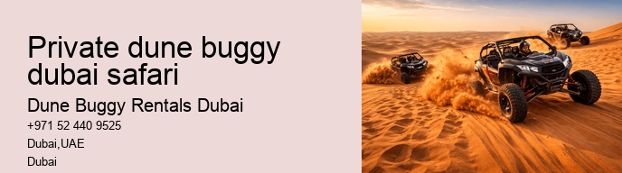 private dune buggy dubai safari