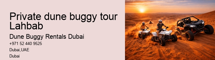 Private dune buggy tour Lahbab