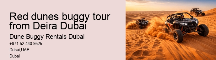 Red dunes buggy tour from Deira Dubai