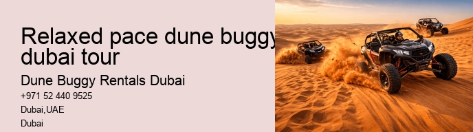 relaxed pace dune buggy dubai tour