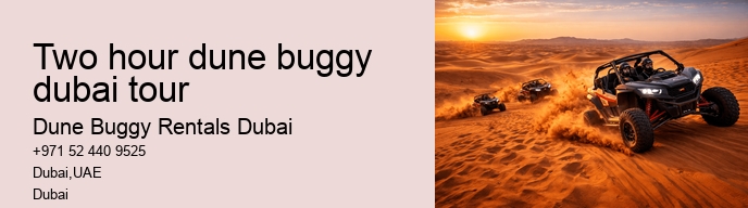 two hour dune buggy dubai tour