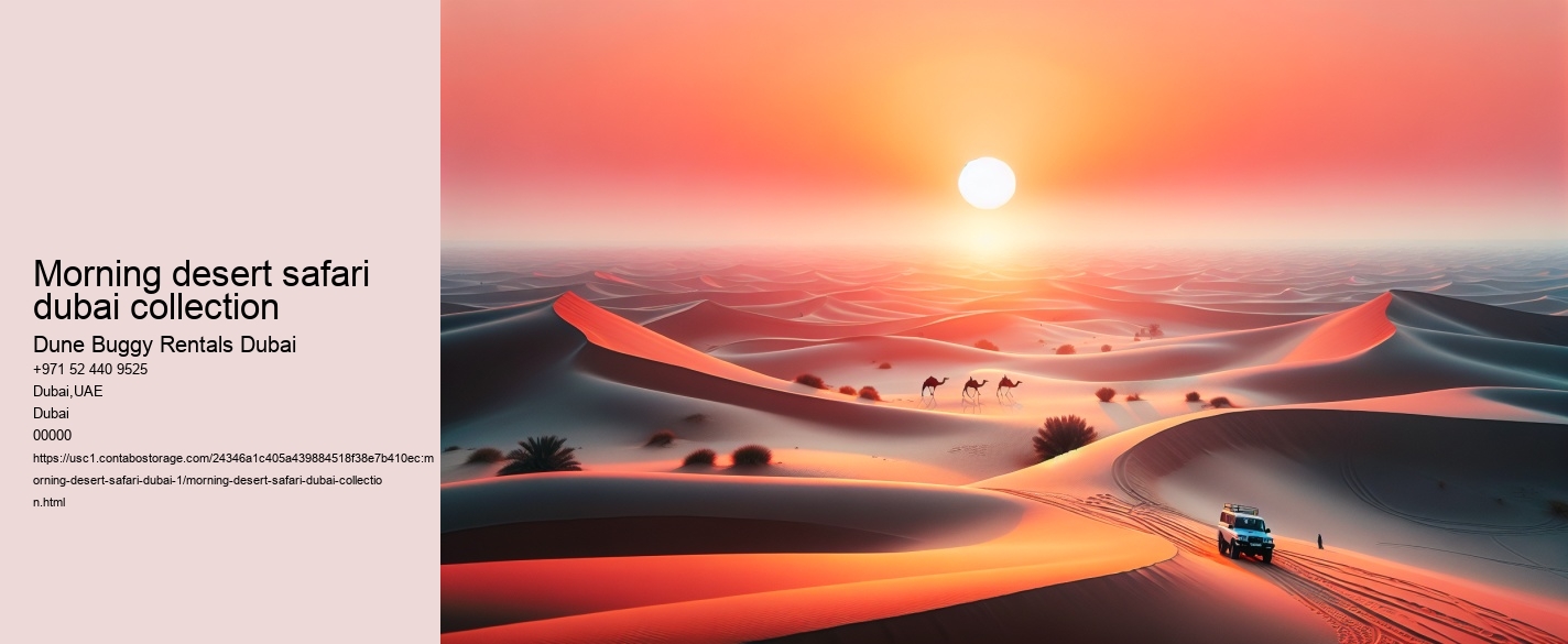 morning desert safari dubai collection