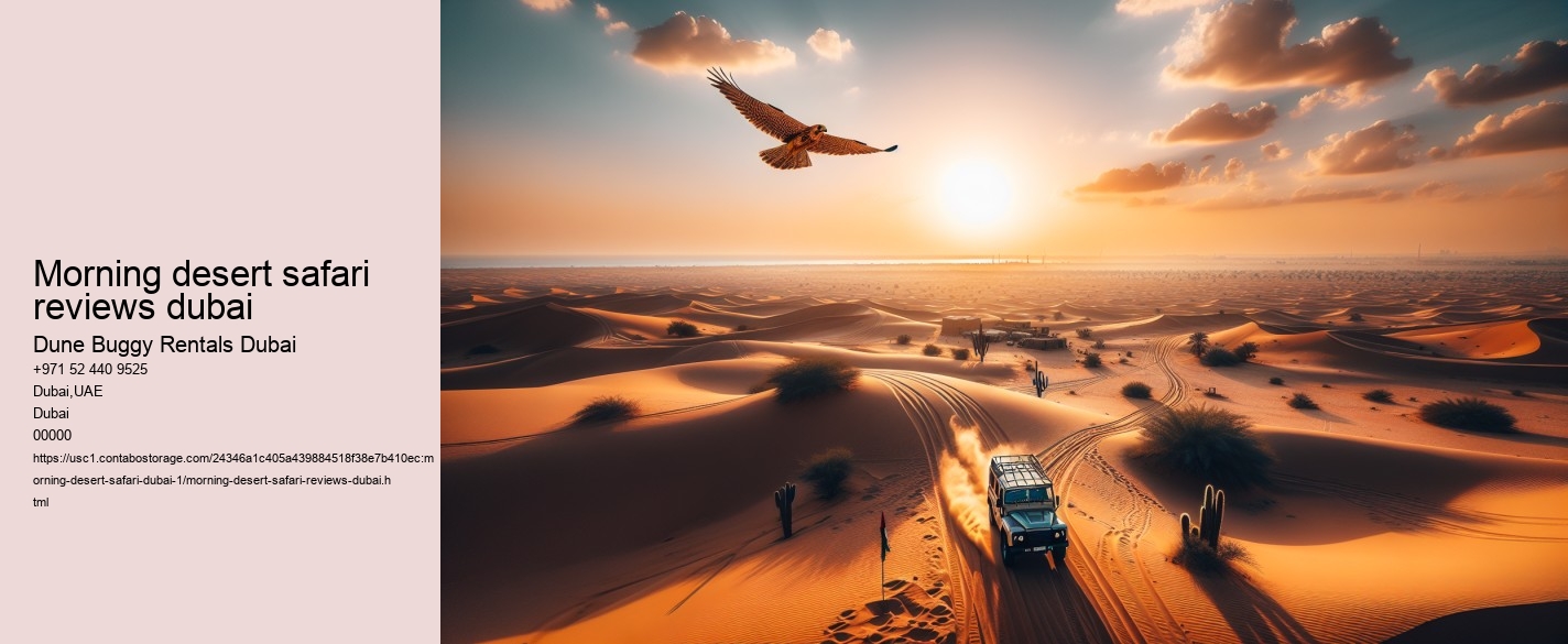 morning desert safari reviews dubai