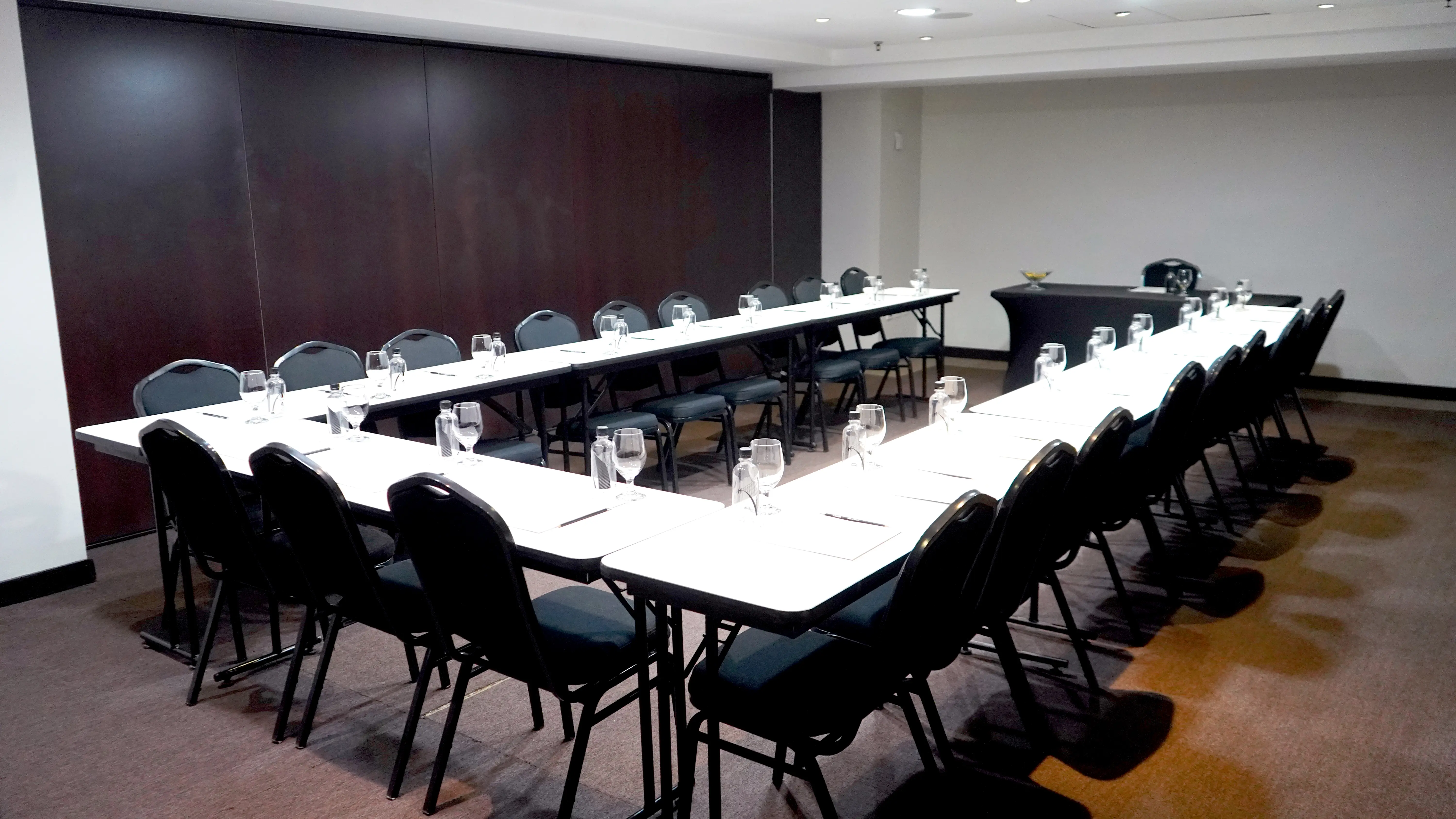 Salón Mohedano II