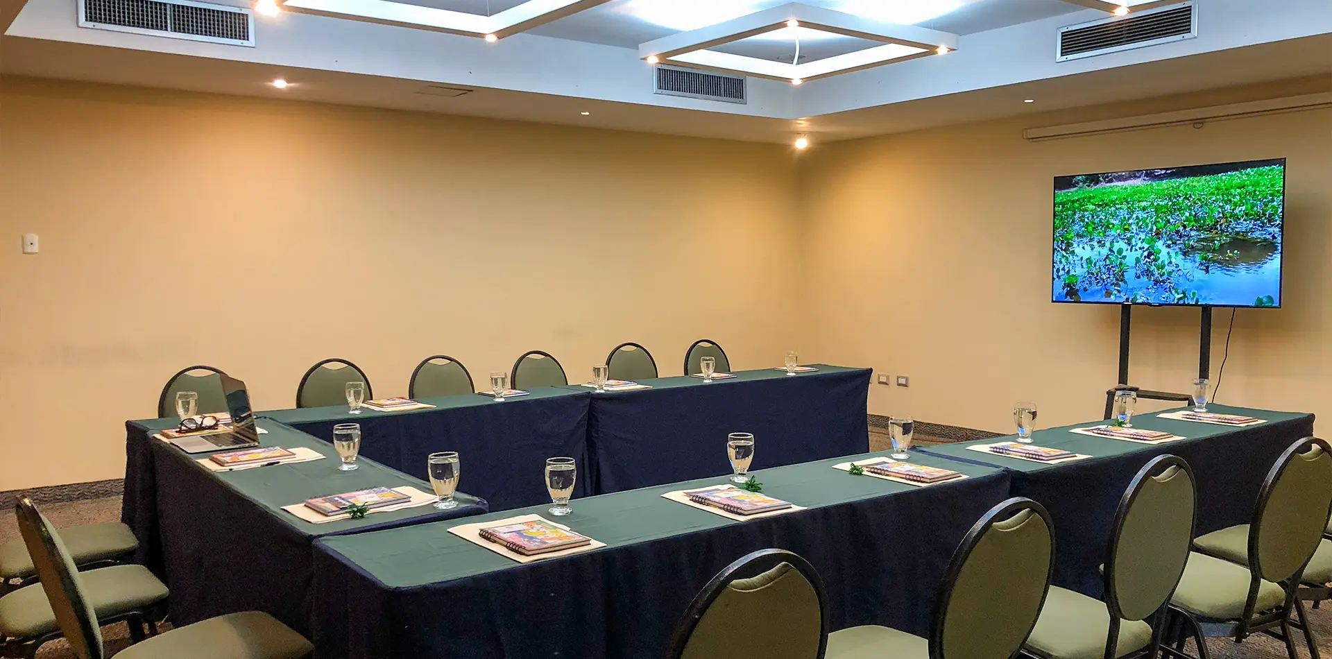 Gran Salón Oryzagua