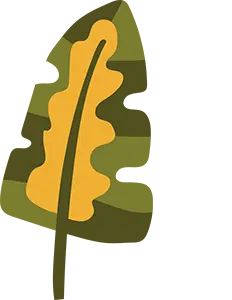 SOMOS LA CASA GRANDE