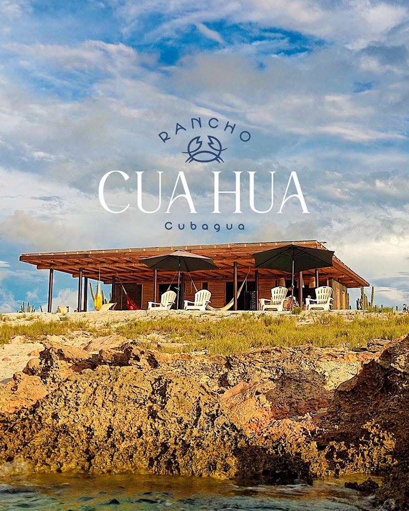 Full Day Rancho Cuahua