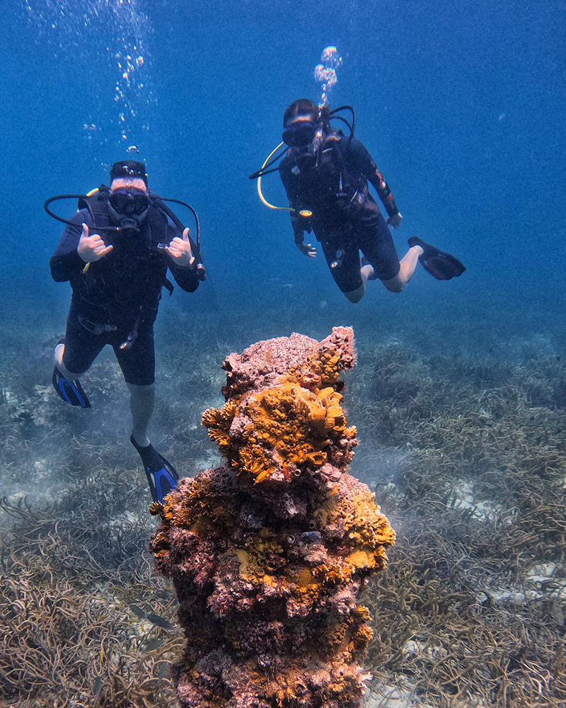 Day Pass Skull Divers Divespot