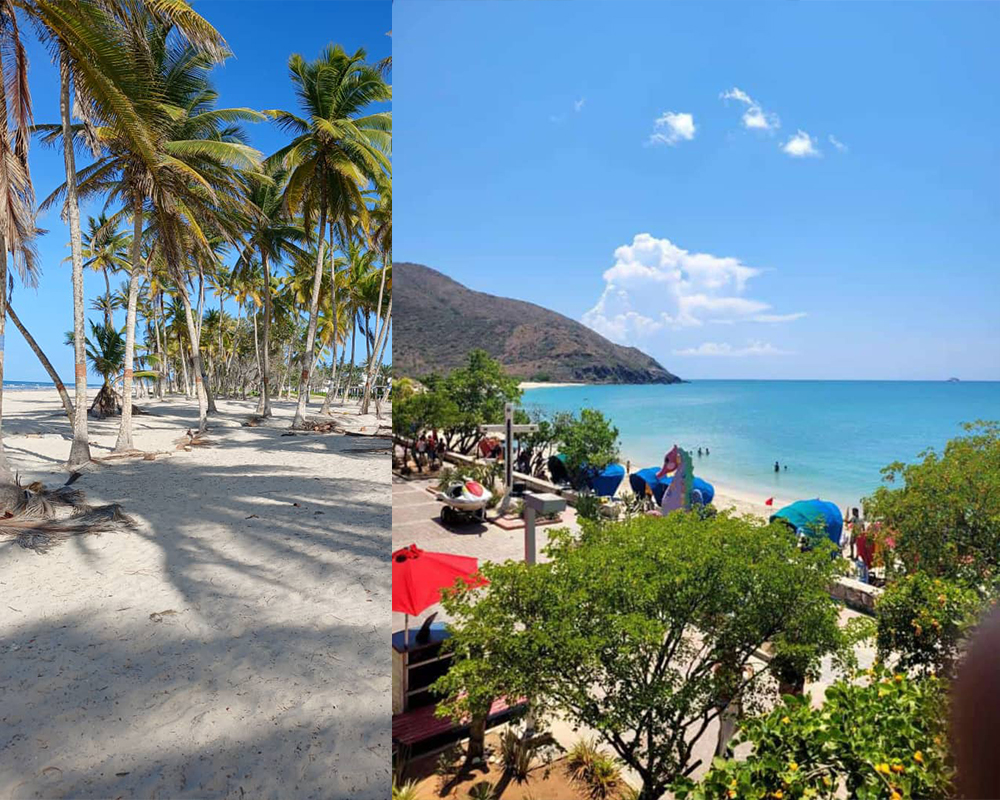 Day Pass Tour Playero