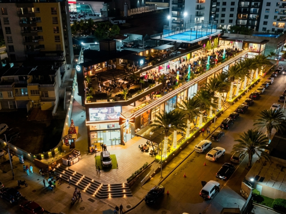 Aldonza Manrique Avenue