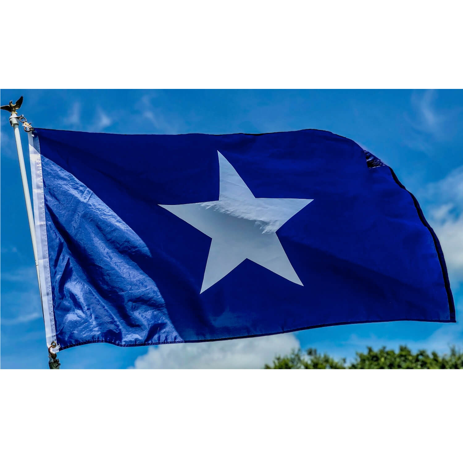 Ultimate Flags: A Mosaic of American History