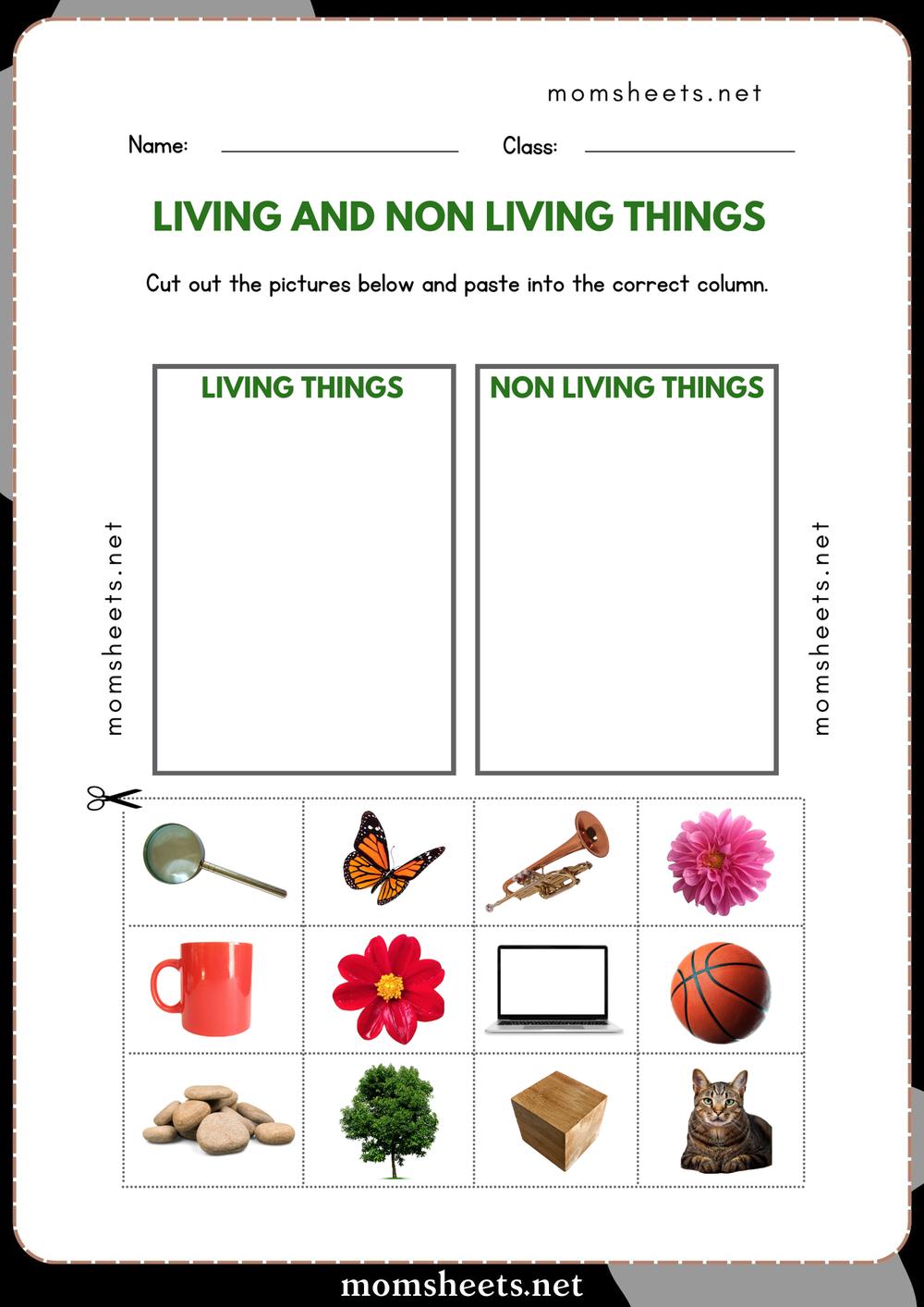 Living and Non Living Things Sorting Activity Cut Paste Glue Worksheet ...