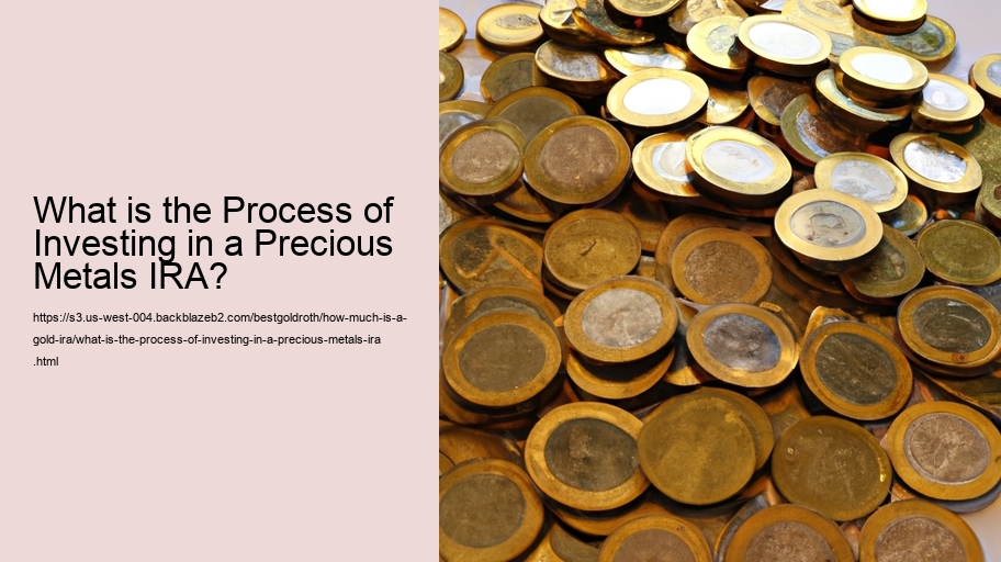 What is the Process of Investing in a Precious Metals IRA? 