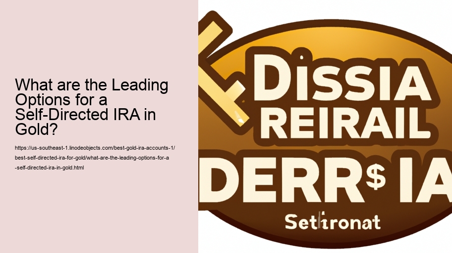 What are the Leading Options for a Self-Directed IRA in Gold?