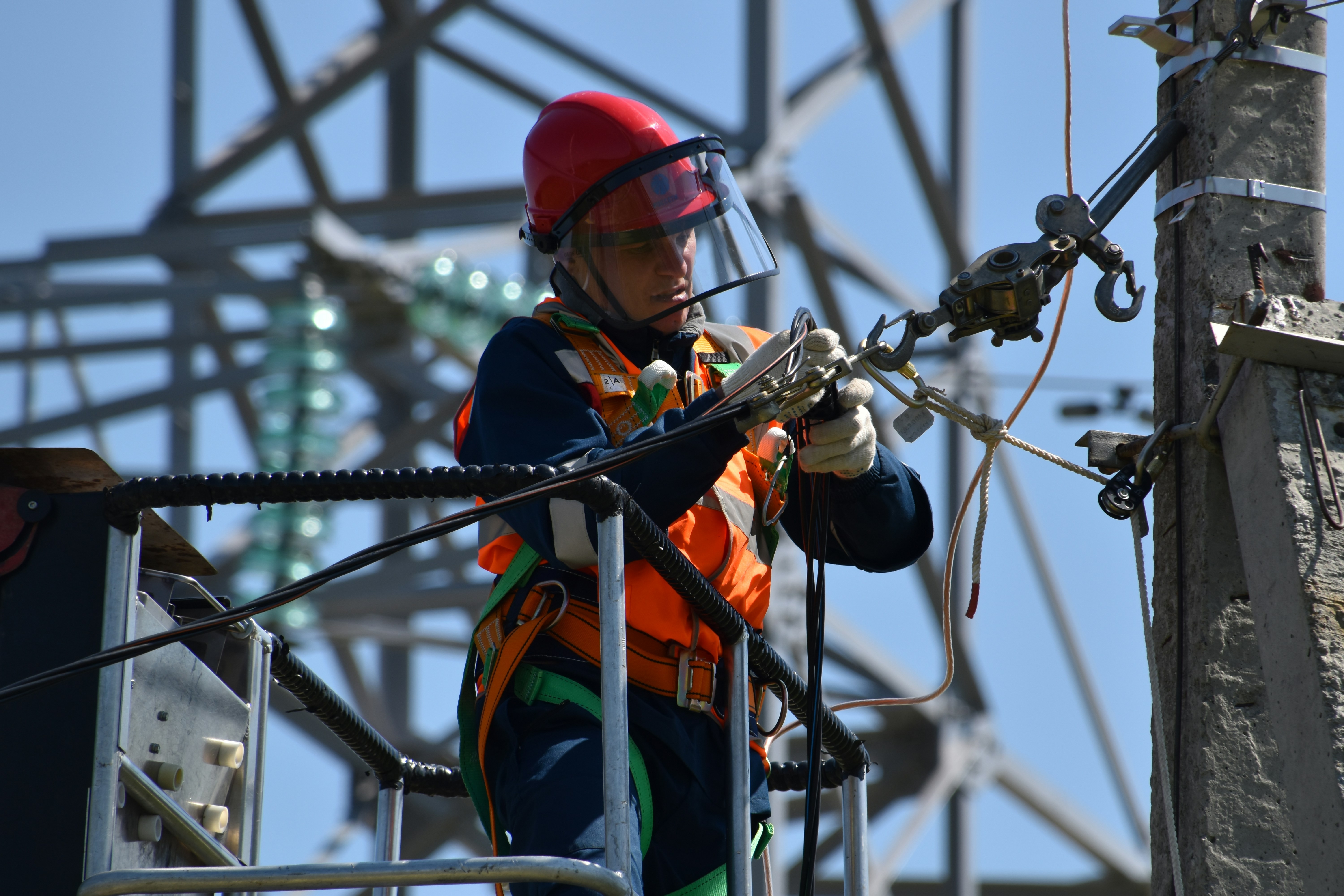 Electrician St Ives — licensed professional inspecting a residential switchboard in Ku-ring-gai