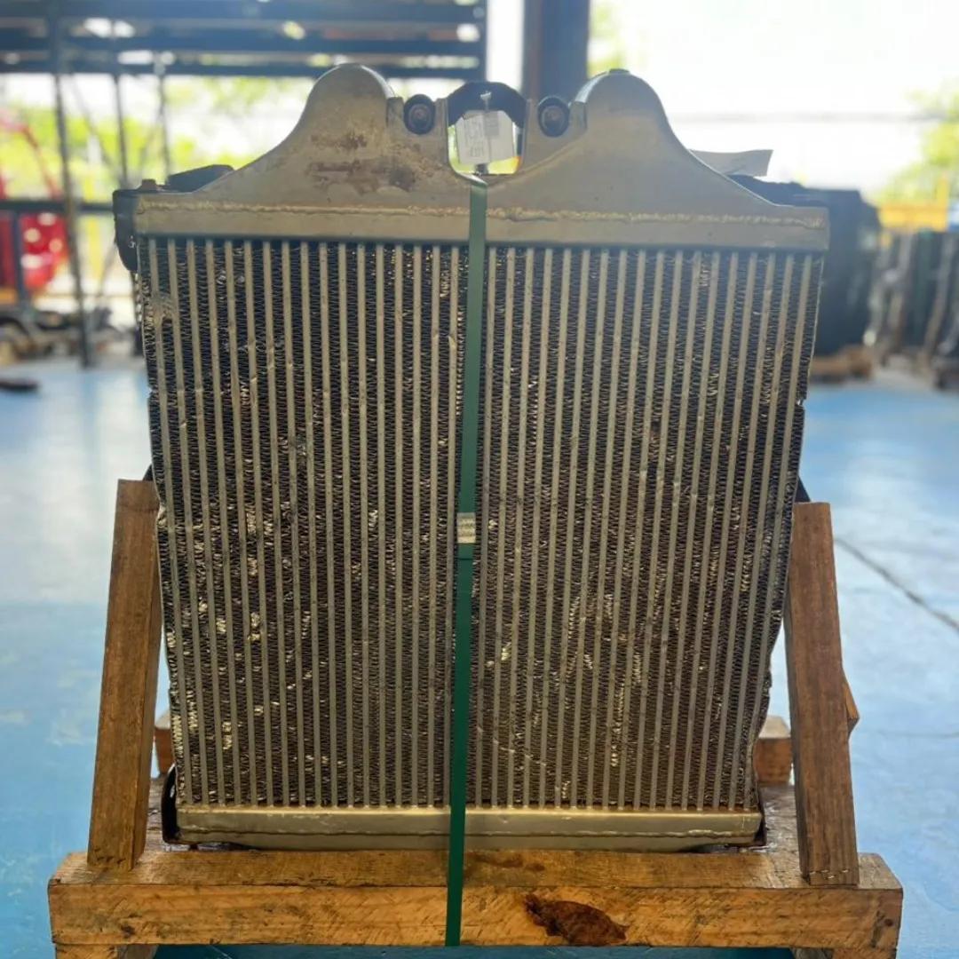 RADIADOR COMPLETO MB ATRON 2324 3