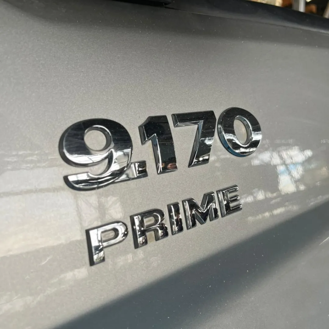 PORTA VW DELIVERY 9.170 LE 2