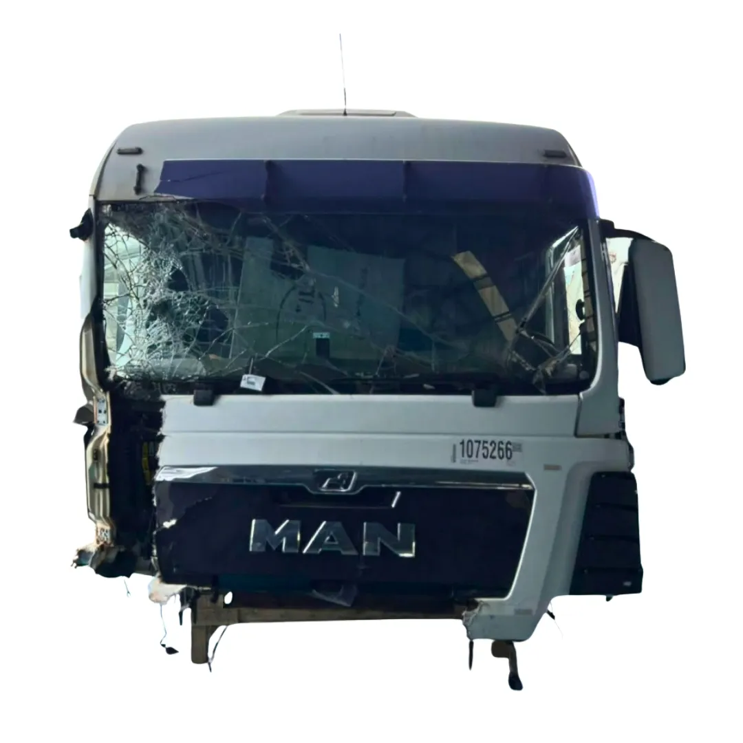 CABINE MAN TGX 29.480 – ANO 2019