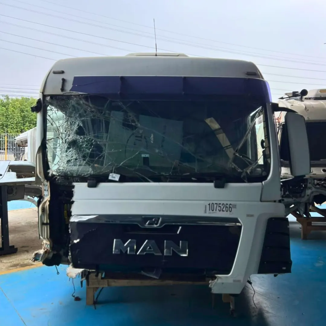 CABINE MAN TGX 29.480 – ANO 2019 2