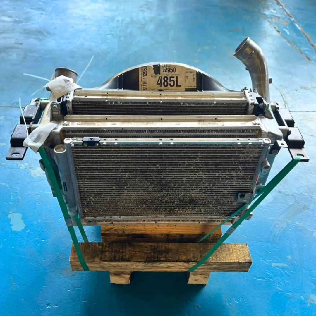 RADIADOR COMPLETO MB ACCELO 1016 5