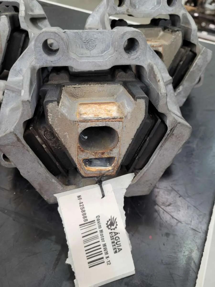 Coxim do Motor MWM X-12