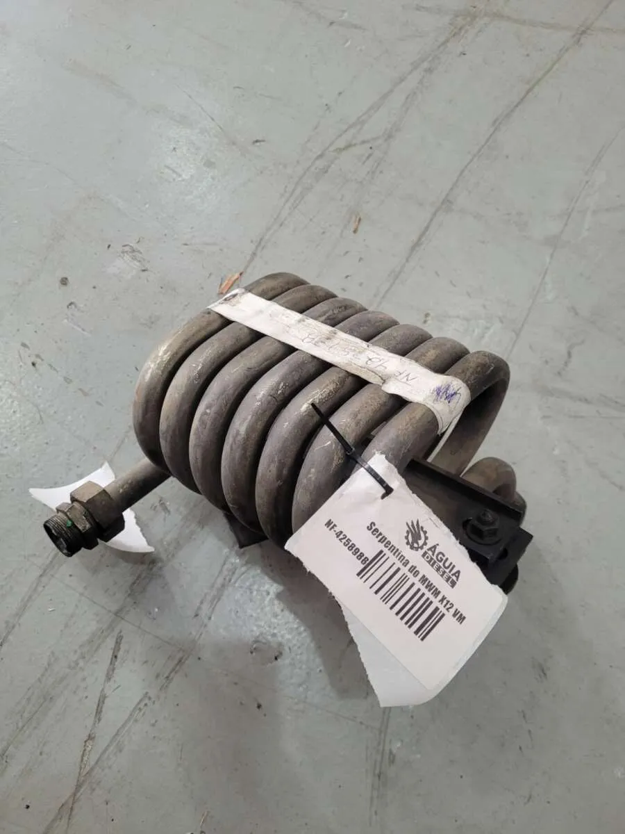 Serpentina MWM X-12 VW