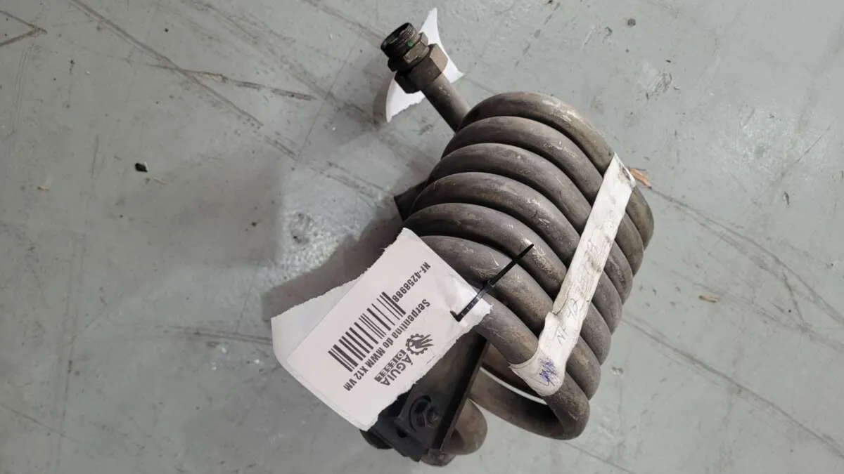 Serpentina MWM X-12 VW 2