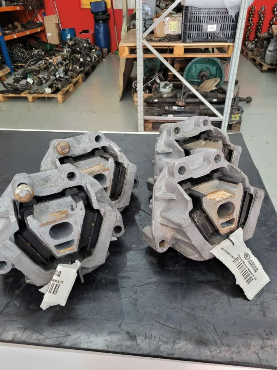 Coxim do Motor MWM X-12 3