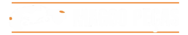 MAGOO PEÇAS