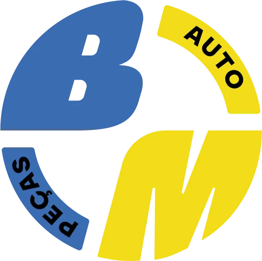 BM AUTO PECAS LTDA