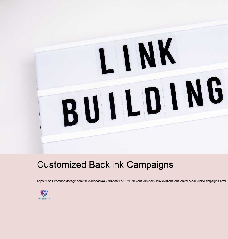 Customized Backlink Campaigns